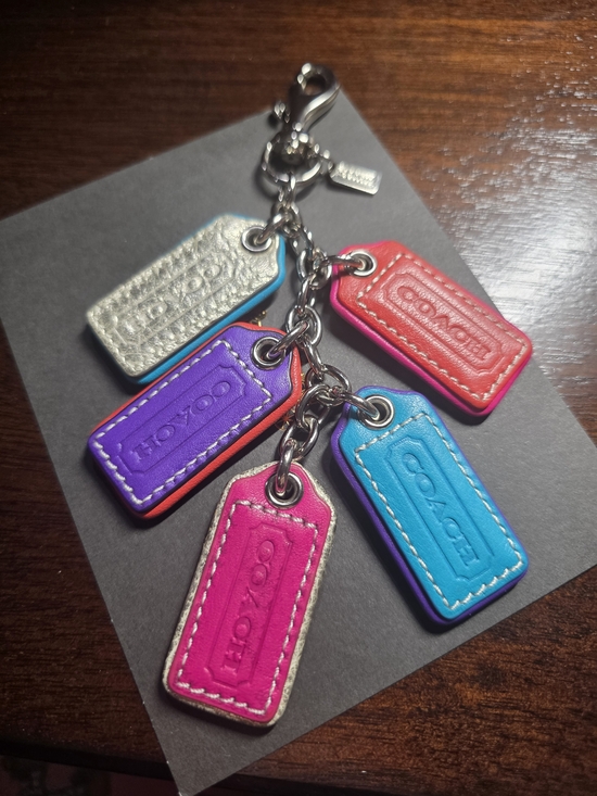 Coach Other - COACH Extremely RARE Multicolor Leather Tag Charm Keychain